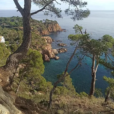 Domus Aurea Palamós
